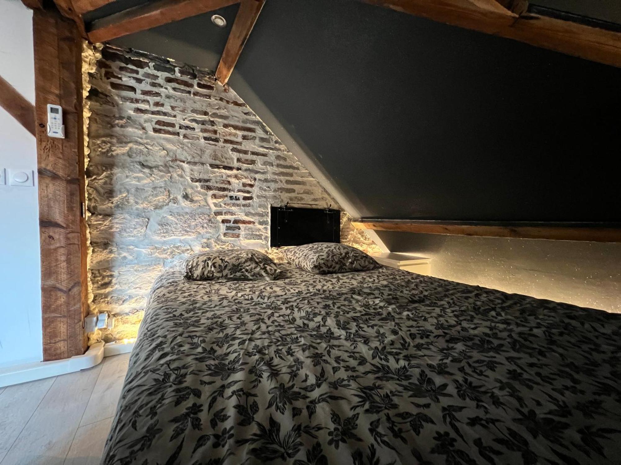 Bellevue Appartement Sous Les Toits Hypercentre Climatise Dole Exterior foto